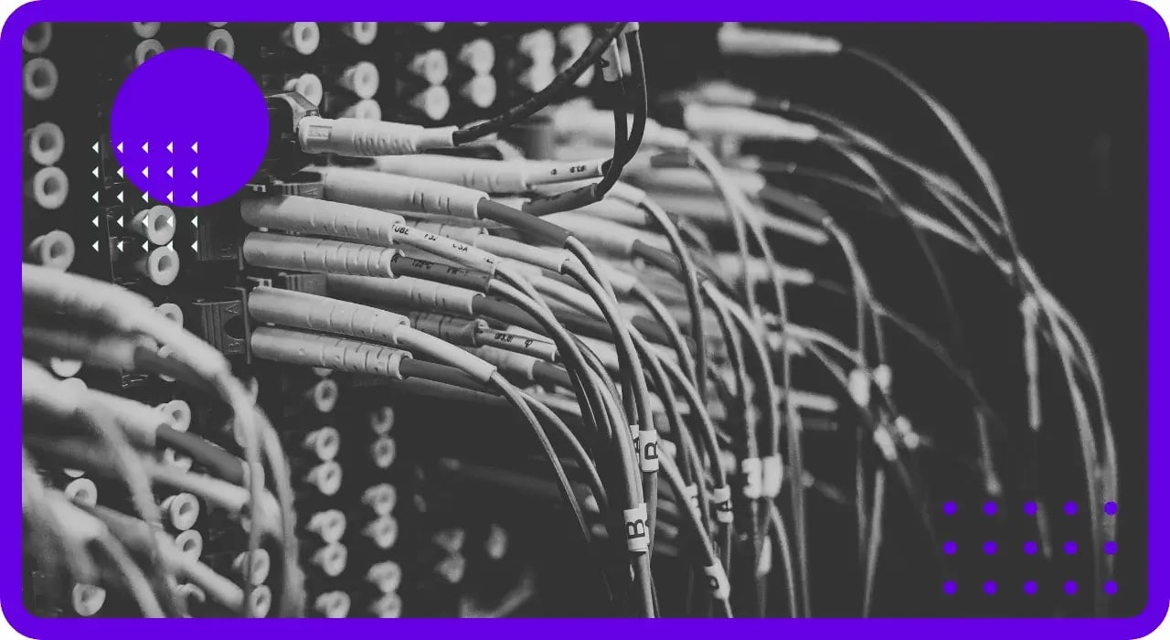 A close-up of network cables and server infrastructure representing managed IT and security services