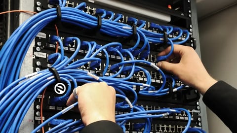 Server and Network Management Basics