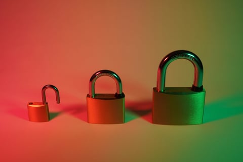The Essential Guide to Vulnerability Management